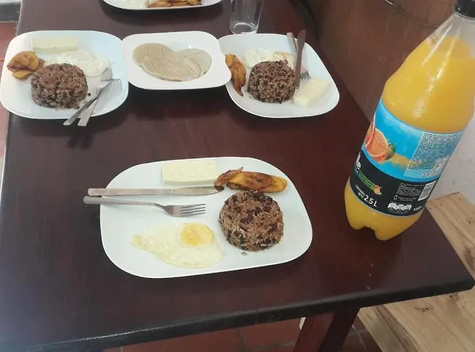 Zardy Bed and breakfast *