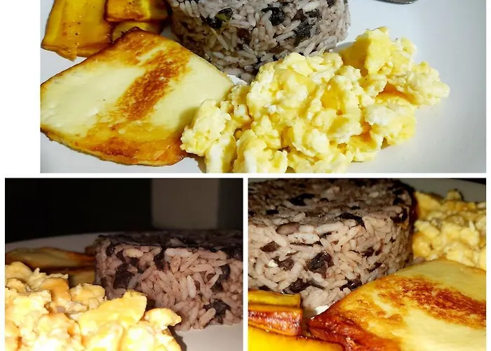 Zardy Bed and breakfast