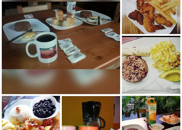 Bed and breakfast Zardy